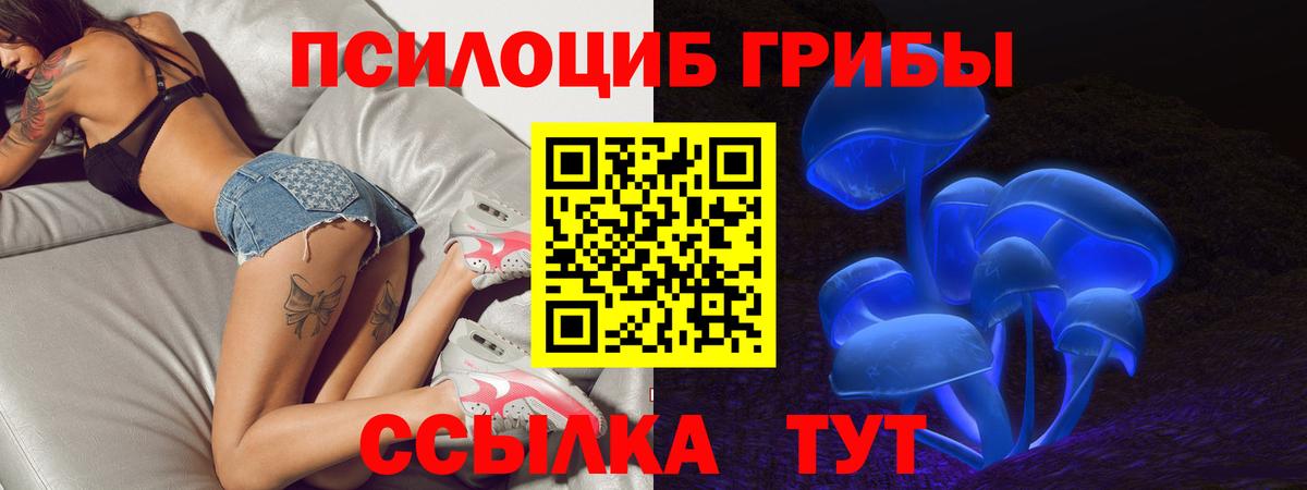 Псилоцибиновые грибы мицелий Кингисепп